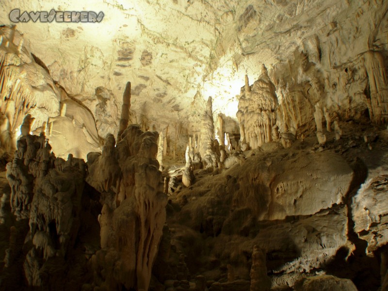 Adelsberger Grotte: Besser als Franken 2