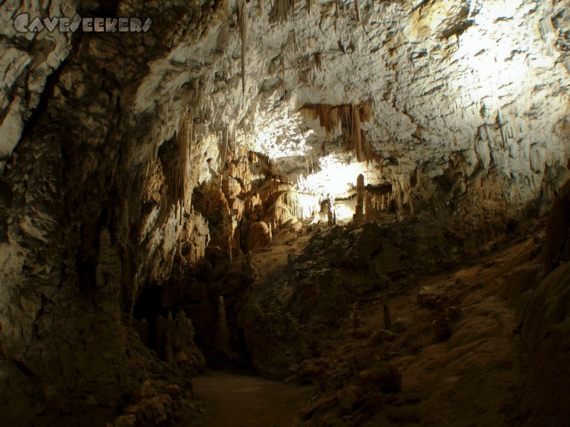 Adelsberger Grotte: 4 Wochen konnte niemand an CaveSeekers.com arbeiten