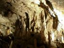 Adelsberger Grotte - Besser als Franken 4