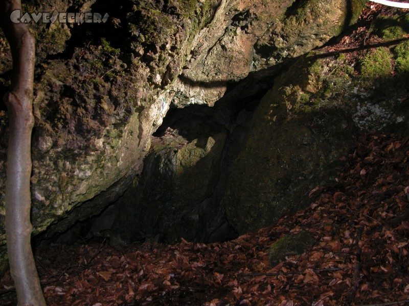 Anton-Völkel-Grotte: Eingang.