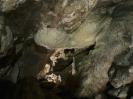 Bärenhöhle - Unfotografierbare Sinterwurst an der Schlufdecke. Höchst selten. Quasi nur hier zu bestaunen.