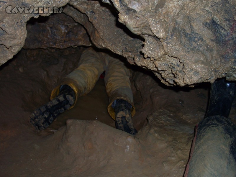 Brunnsteinhöhle: Nehls.