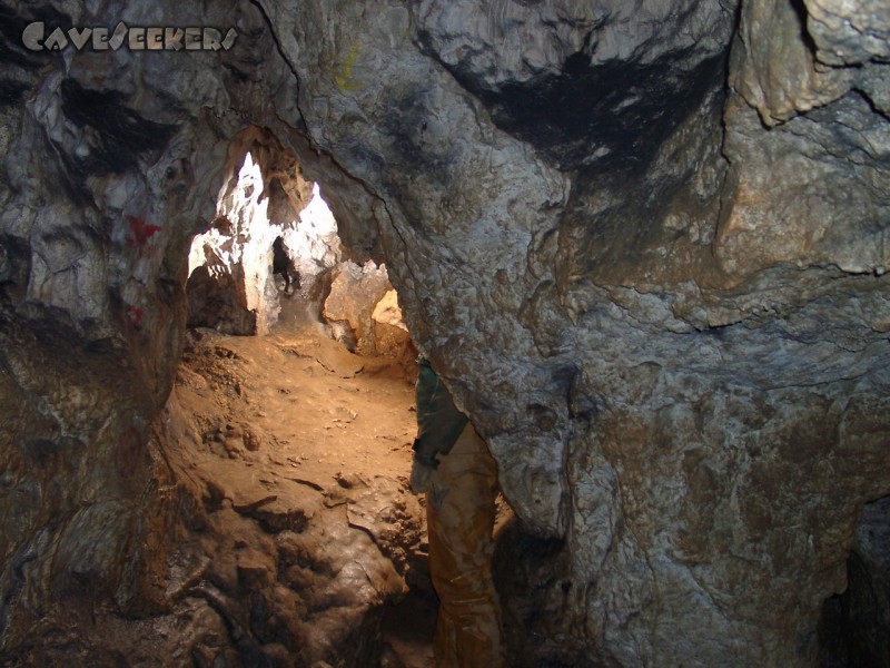 Brunnsteinhöhle: Brunnsteinhöhlenhaupthalle.
