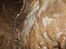 Burghöhle Wolfsegg - Sägezähnchen