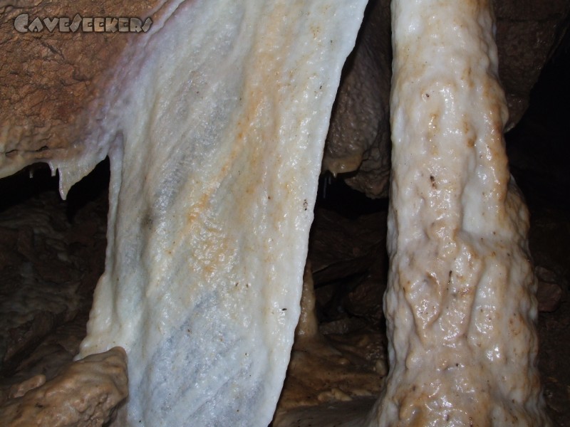CWB-Höhle: Sinterfahne, eingesinterter Fledermauskot