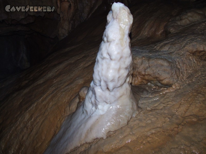 CWB-Höhle: ca. 49 cm hoch