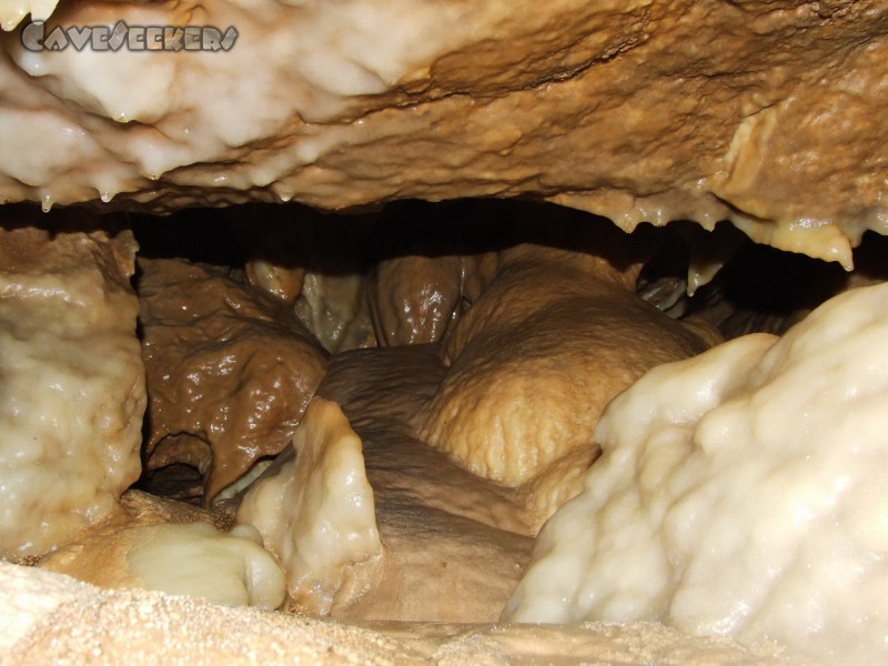 CWB-Höhle: Makro zwei