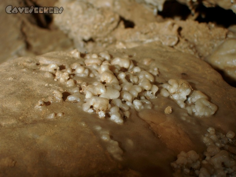 CWB-Höhle: Eine Sinterperlen-Abart?