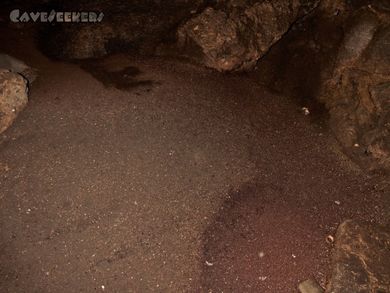 Dark Cave: Der Kothaufen. Nicht zu sehen ist ein blauer Eimer, welcher offenbar dazu verwendet wird, eine Überpopulation von Kot-Fressern zu verhindern. Man kriecht beschwingt durch die Scheisse - und fällt plötzlich in den Eimer. Dort ist man aber auch nicht alleine.