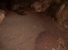 Dark Cave - Der Kothaufen. Nicht zu sehen ist ein blauer Eimer, welcher offenbar dazu verwendet wird, eine Überpopulation von Kot-Fressern zu verhindern. Man kriecht beschwingt durch die Scheisse - und fällt plötzlich in den Eimer. Dort ist man aber auch nicht alleine.