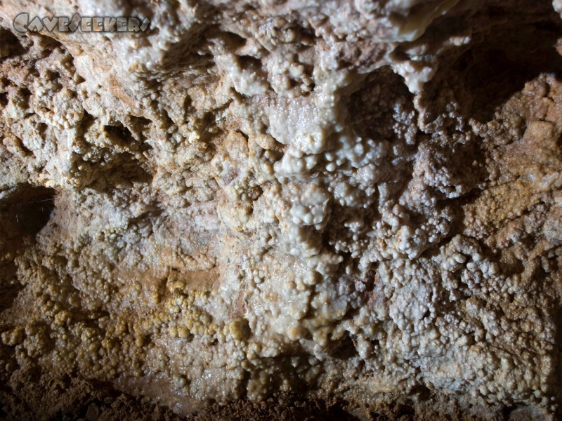 Euerwanger Höhle: Lebende Sinterknubbel