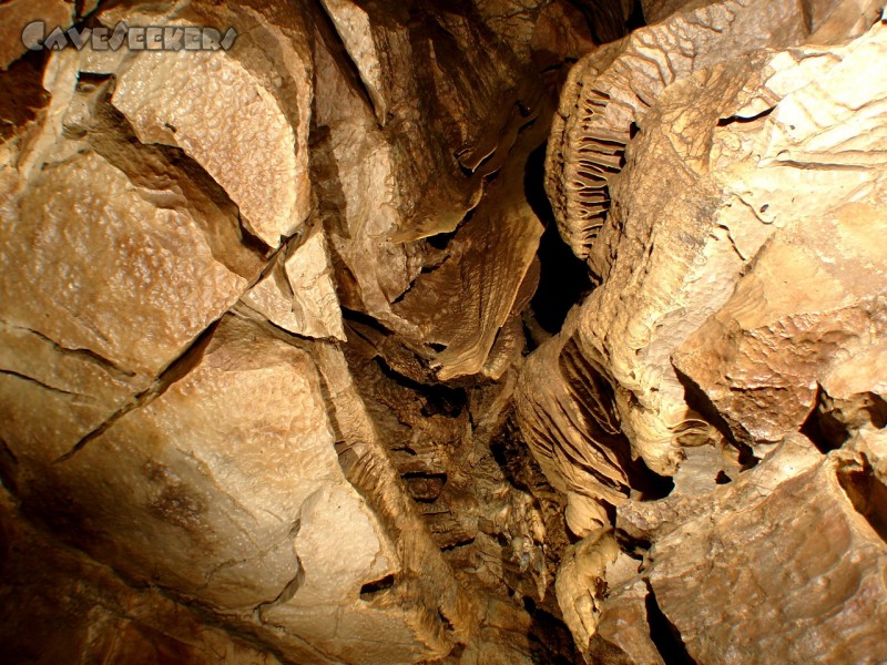 Falkensteiner Höhle: Deckenimpression mit rießiger Sinterfahne.