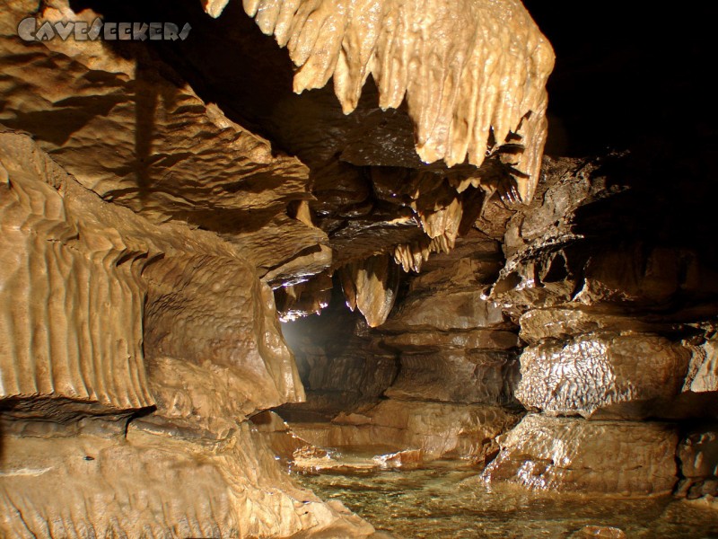 Falkensteiner Höhle: Fließfacetten mit Tropfsteinen und Wasser. Alles was man braucht.