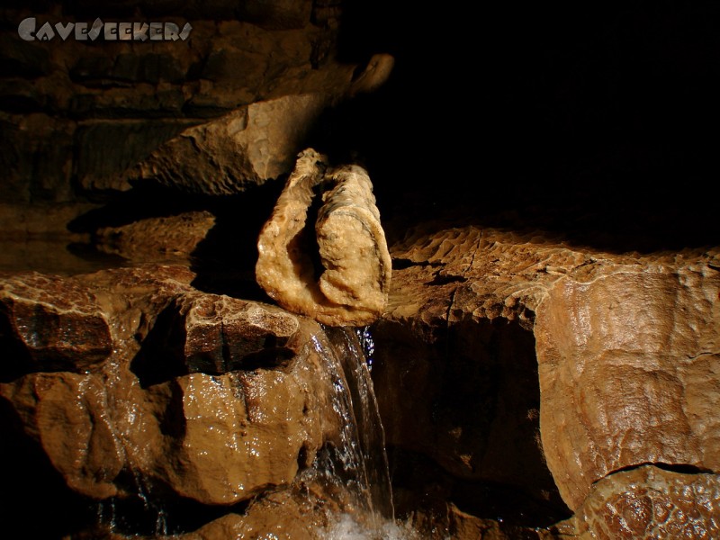 Falkensteiner Höhle: Das Krokodil.