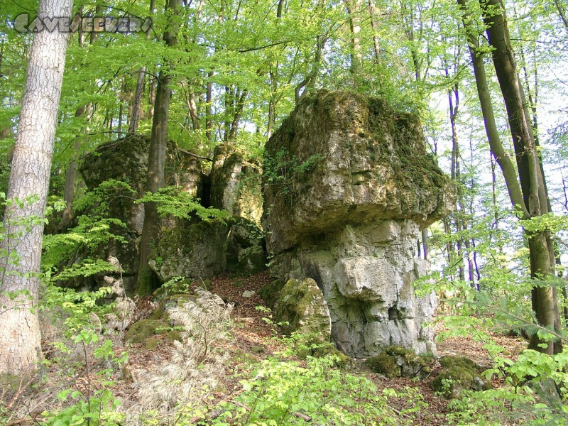Felsenloch H: Die unmittelbare Umgebung ist sicher auf fÃ¼r Zeckenfreunde und -schÃ¼tzer interessant.