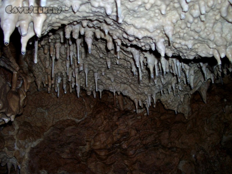 Geißberghöhle: Deckenversinterung.