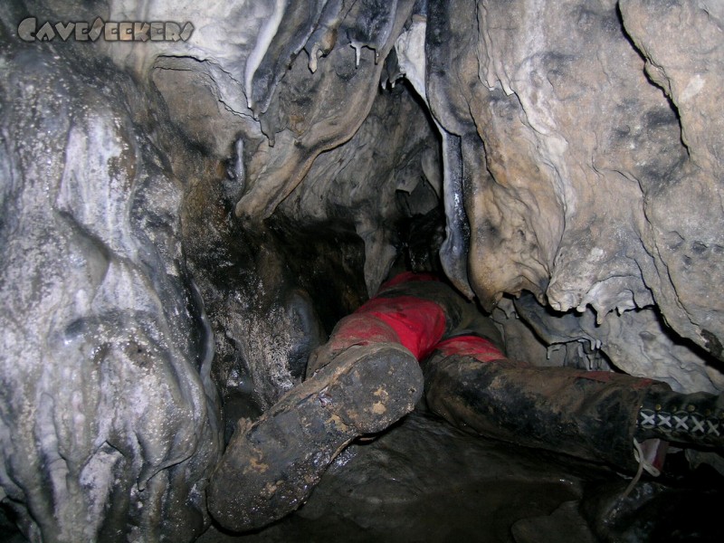 Geißberghöhle: Im Eingangsbereich: CaveSeeker von unten.