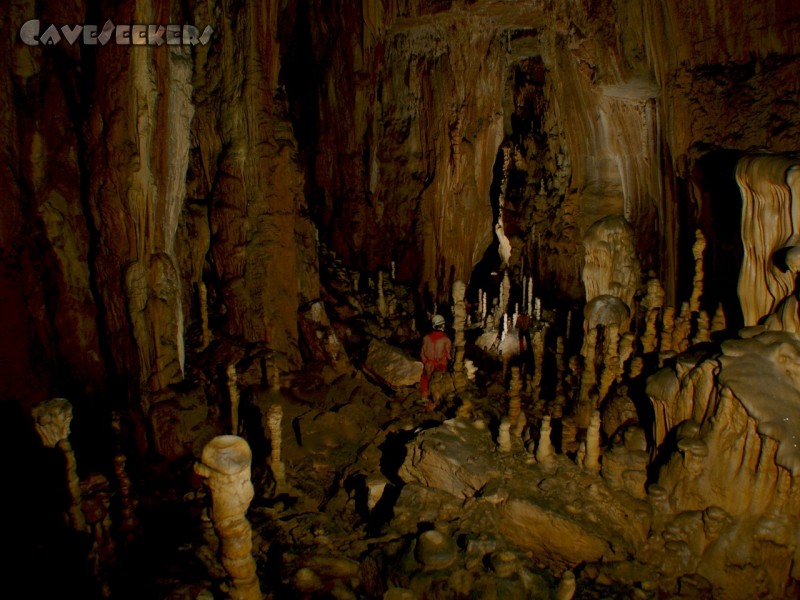 Gouffre X: Den CaveSeeker erwartet eine Halle, die eigentlich zu groß ist, um fotografiert zu werden. Erschwerend kommt hinzu, dass ohne Lichtkrümmungsausrüstung nicht um den leichten Knick im Layout des Lochs fotografiert werden kann.