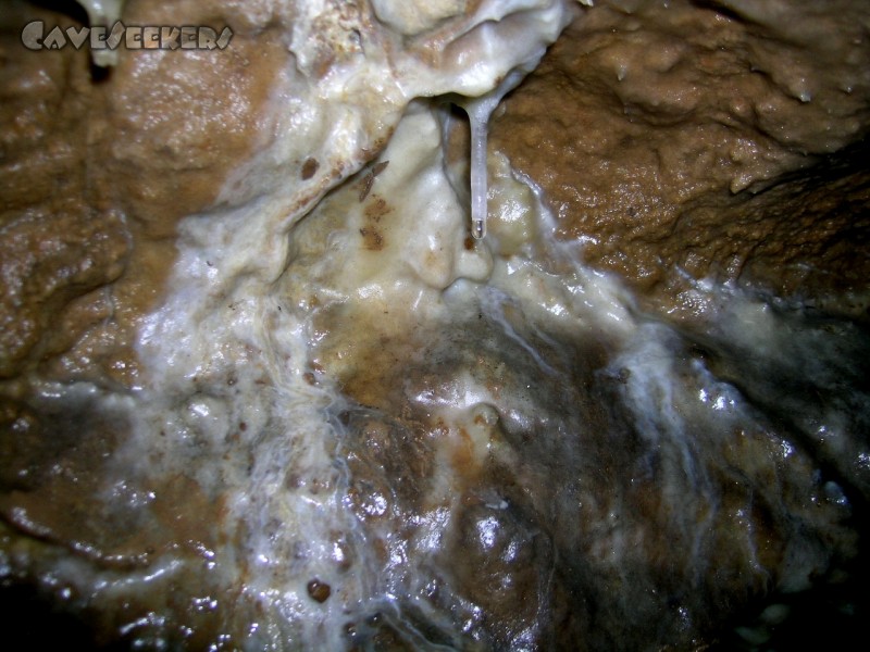 Große Heroldsreuther Höhle: Vermutlich die einzig unzerstörte Stelle im Loch.