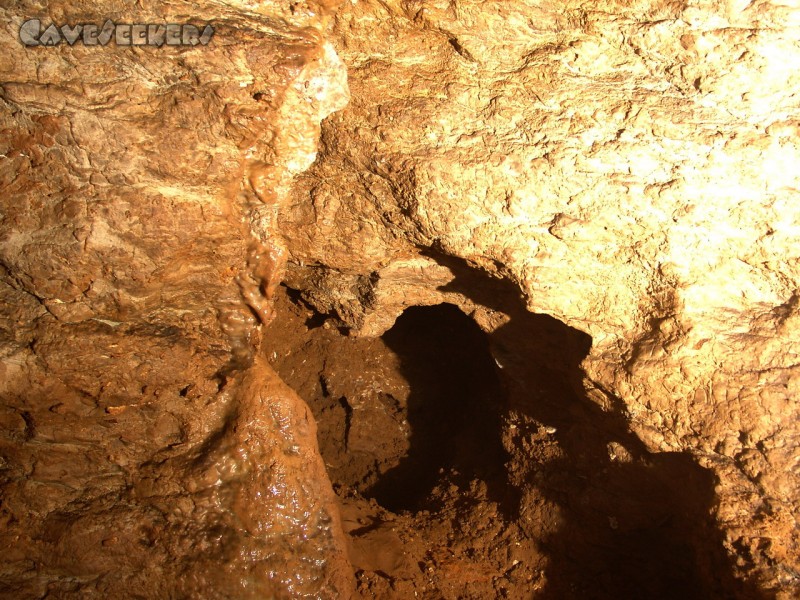 Große Heroldsreuther Höhle: Ottohöhle - so wie es sein muss.