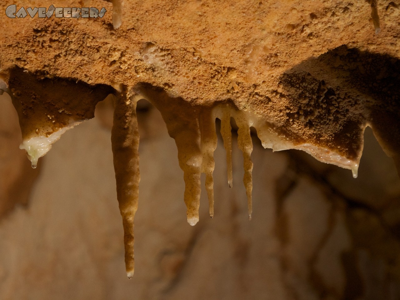 Grotta del Fico: Im Schauhöhlenteil: Es gibt im Loch durchaus auch normalen Sinter zu sehen.