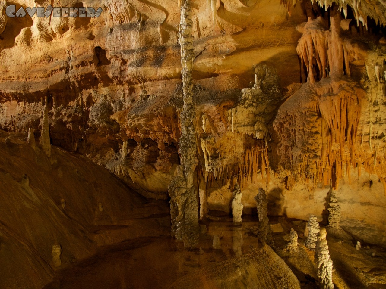 Grotta del Fico: Im Schauhöhlenteil. Hier mit lebenden Sinterbecken.