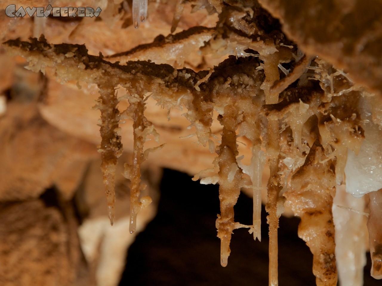Grotta del Fico: Dann beginnt der Wahnsinn.