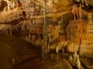 Grotta del Fico - Im Schauhöhlenteil. Hier mit lebenden Sinterbecken.