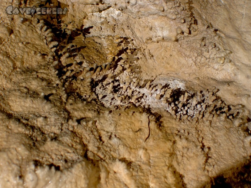 Grotte De La Salamandre: Makrogedöns.