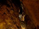 Grotte De La Salamandre