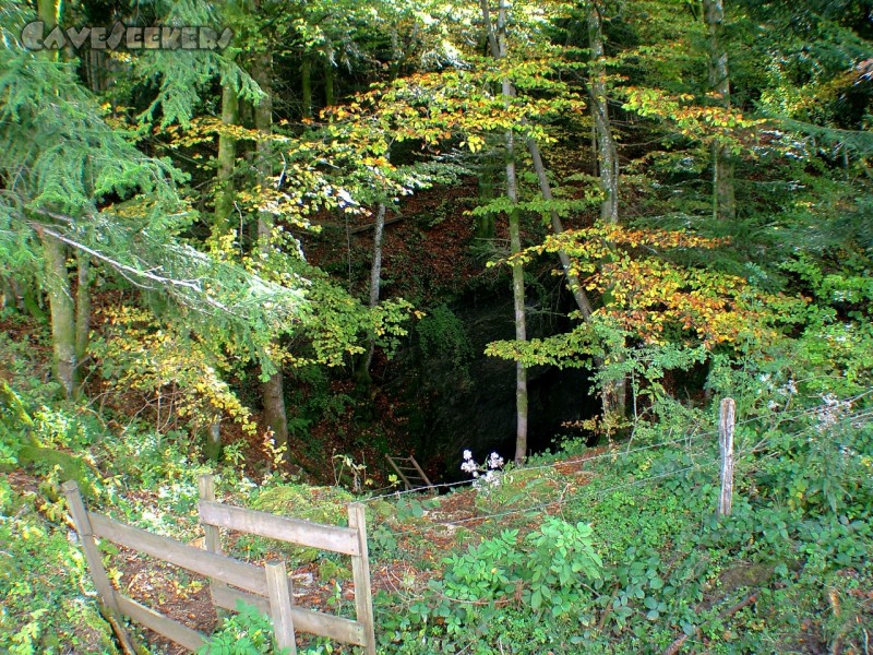 Grotte de Baume du Mont: Der Eingang: Zum Wohle der Kuh mit Stacheldraht umgeben.