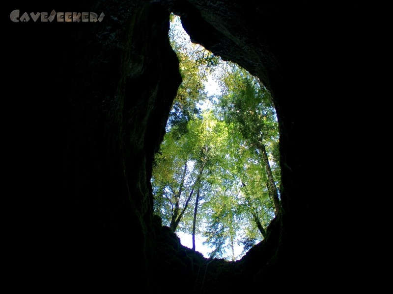 Grotte de Baume du Mont: Doline von Unten. Der Profi erkennt die Leiter.