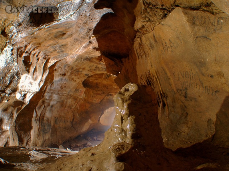 Grotte de Baume du Mont: Und überall schreibt der Einheimische.