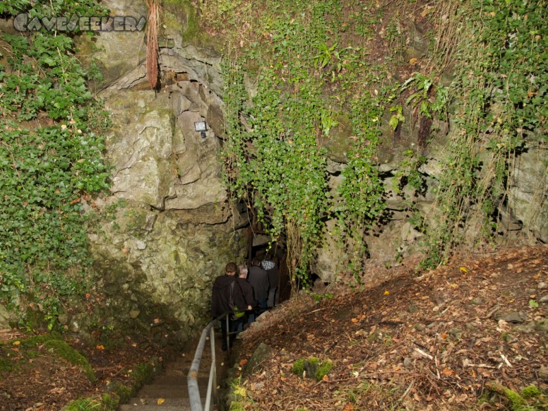Grotte de Lorette: Die Eingangsdoline. Einfach zu bezwingen dank vorbildlicher Stufen.