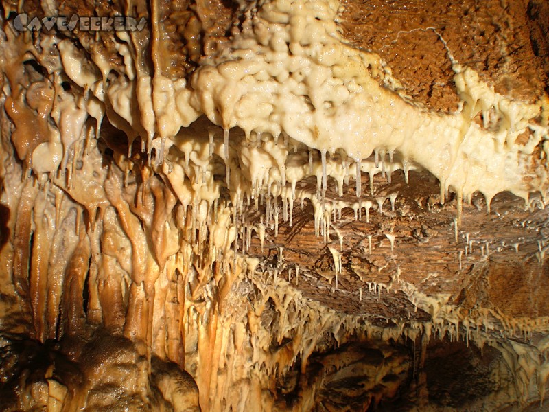 Grotte de la Malatiere: Wer dies fotografiert, befindet sich definitiv auf dem falschen Weg. Nur der gehärtete CaveSeeker übersteht diesen.