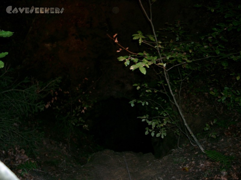 Grundlose Grube: Ein schlichtes Loch im Waldboden lädt zum Einstieg ein.