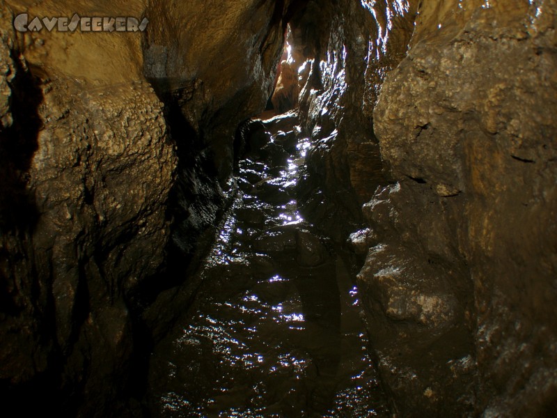 Gustav Jacob Höhle: Hier ist die Kacke zwar nicht direkt am dampfen - aber zu sehen und zu riechen ist sie durchaus.
