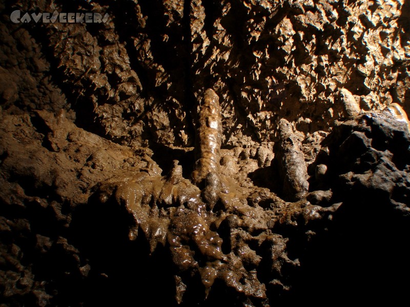 Hennergraben: Weils sonst nichts zu sehen gibt, hier nochmal die Stalagmiten.