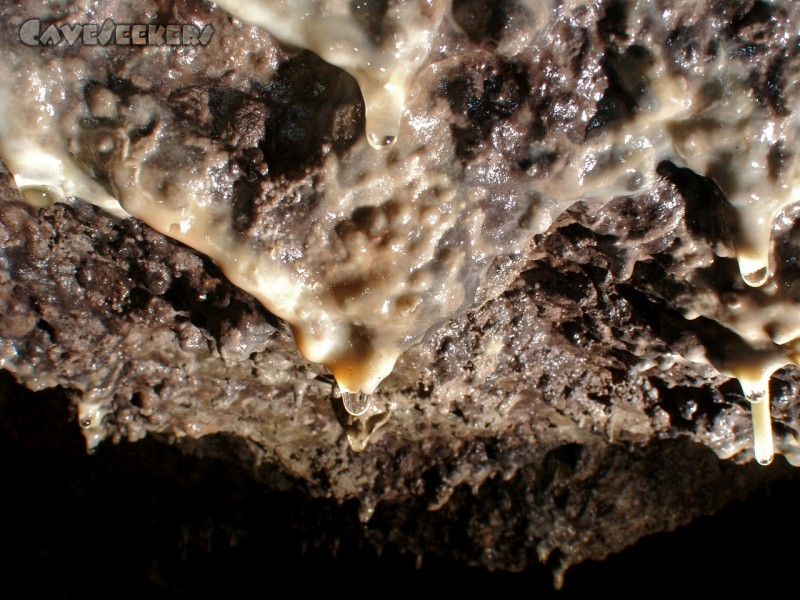 Höhgassen Höhle: Der generell sehr dunkle Teint des Lochs wird stellenweise von frischen Sinter durchbrochen.