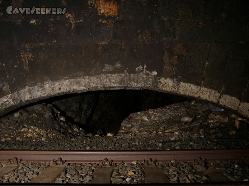 Höhnbergtunnelhöhle: Der 'Eingang' des linken Höhlenteils.