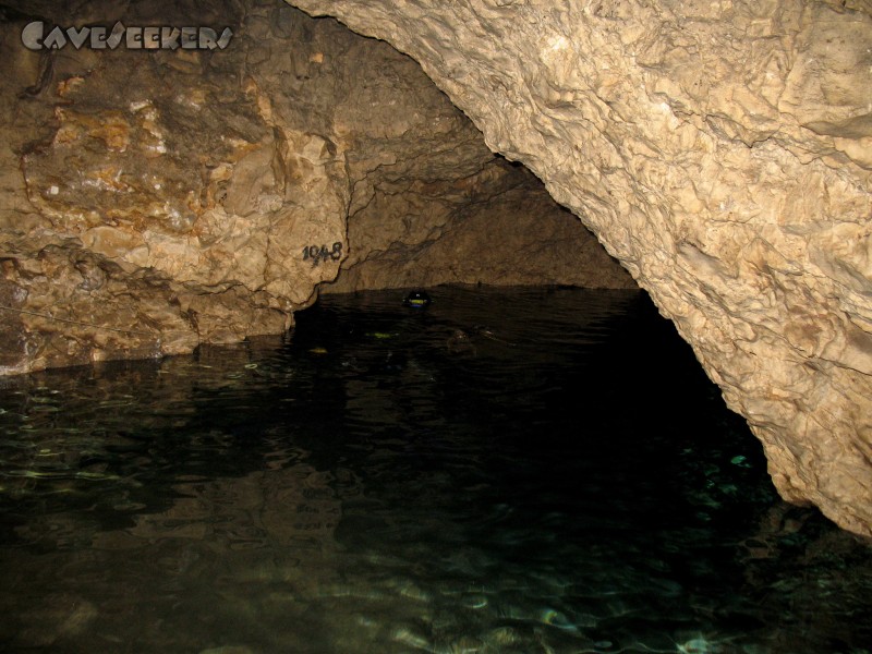 Höhnbergtunnelhöhle: Tauchen.