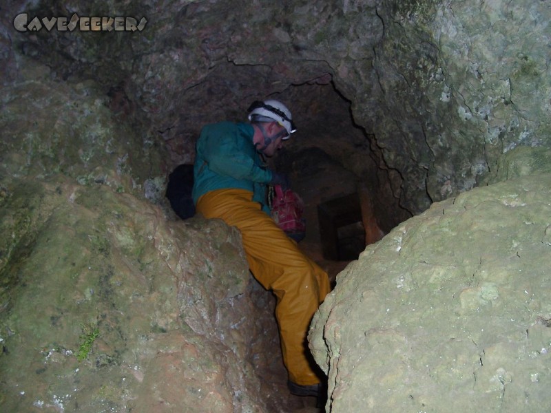 Hohberghöhle: Erste Sichtung des Einstiegs.