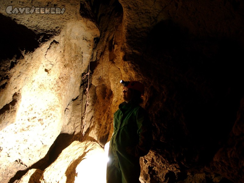 Hohberghöhle: Die Stelle des Abstiegs.
