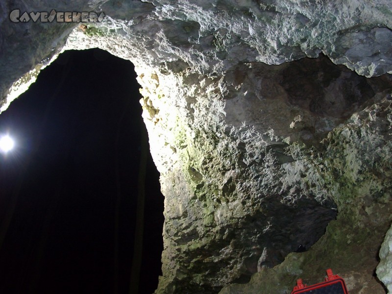 Hungenberghöhle: Das Höhlenportal von innen.