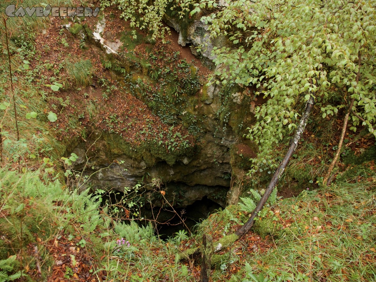 Jama pod Gavgami - Idyllisch: Höhleneingang.