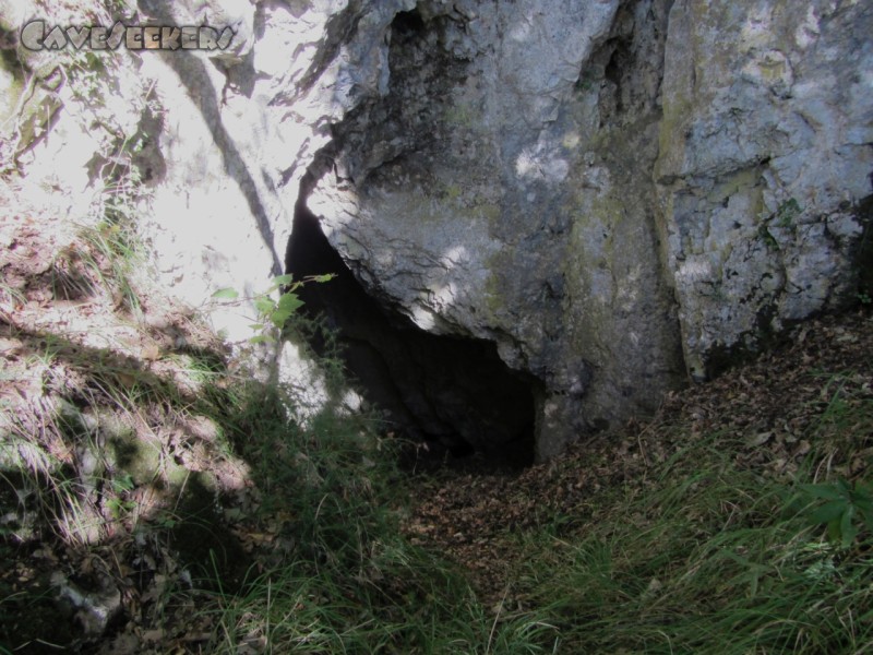 Jegliška jama: Der Höhleneingang. In der Steilwand. Besonders schlecht fotografiert.