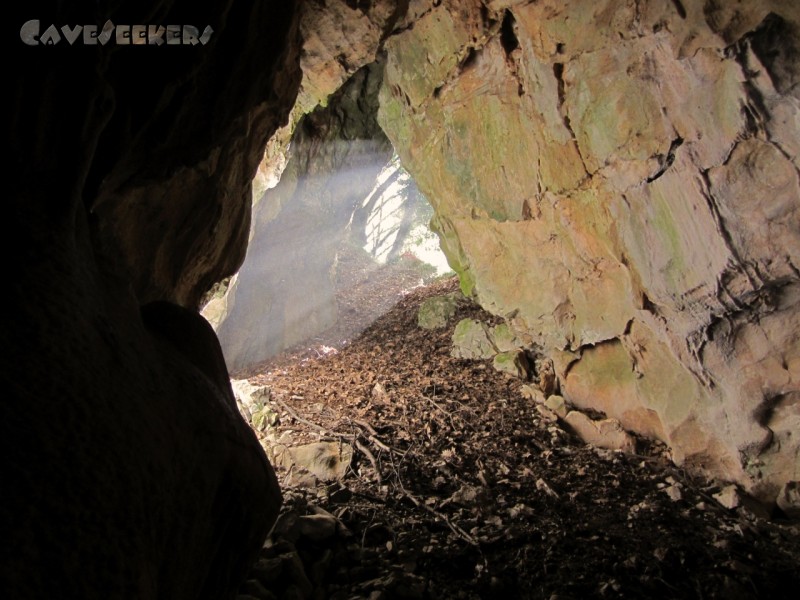 Jegliška jama: Höhleneingang von innen.