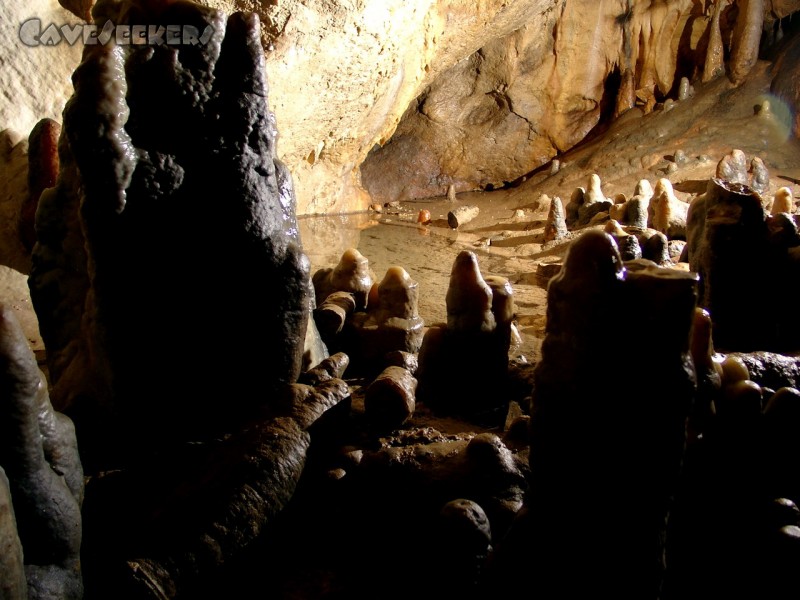 Kästnerhöhle: Trotz der zahlreichen abgeschlagenen Tropfsteine ein bewegendes Bild.