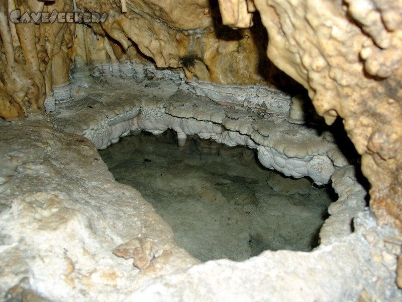 Kästnerhöhle: Sinterbecken.