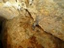 Klapfenberger Höhle - Angemauerte Glasscherbchen, um festzustellen, ob sich was bewegt.